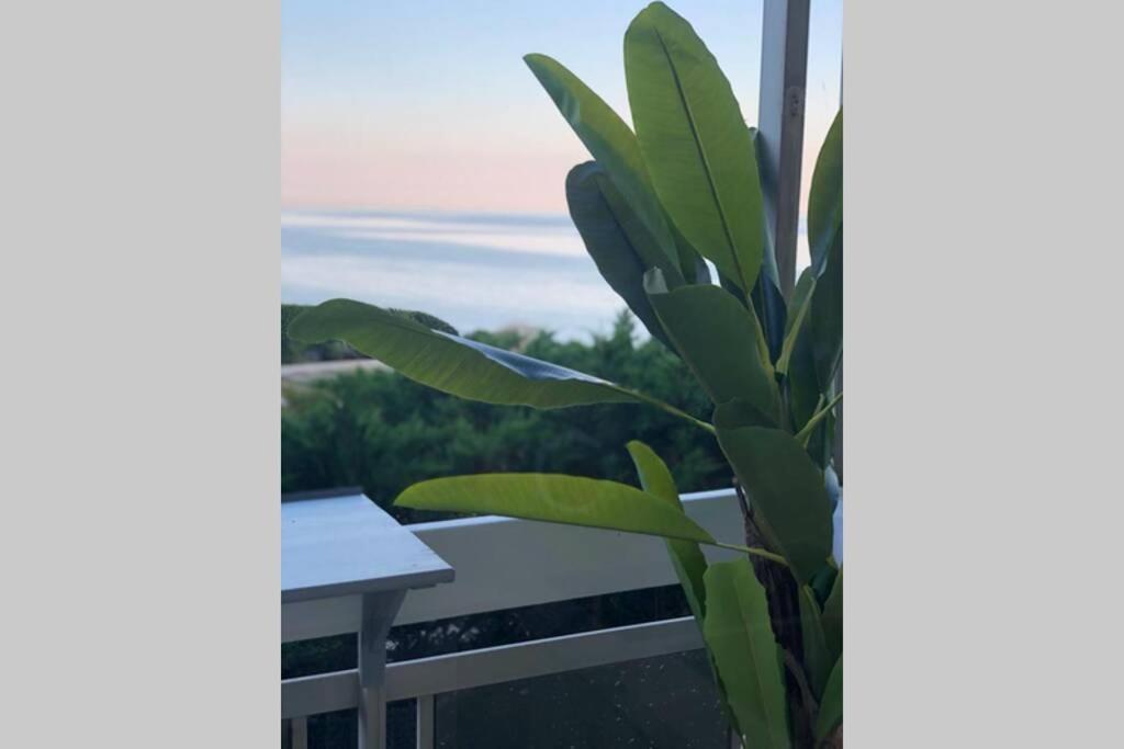 Charmant Studio Avec Terrasse Vue Mer A 50 M Sainte-Maxime Kültér fotó